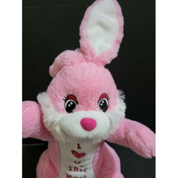 Dan Dee Collector’s Choice Bunny Rabbit Pink Plush Stuffed Animal Toy - Picture 5 of 6
